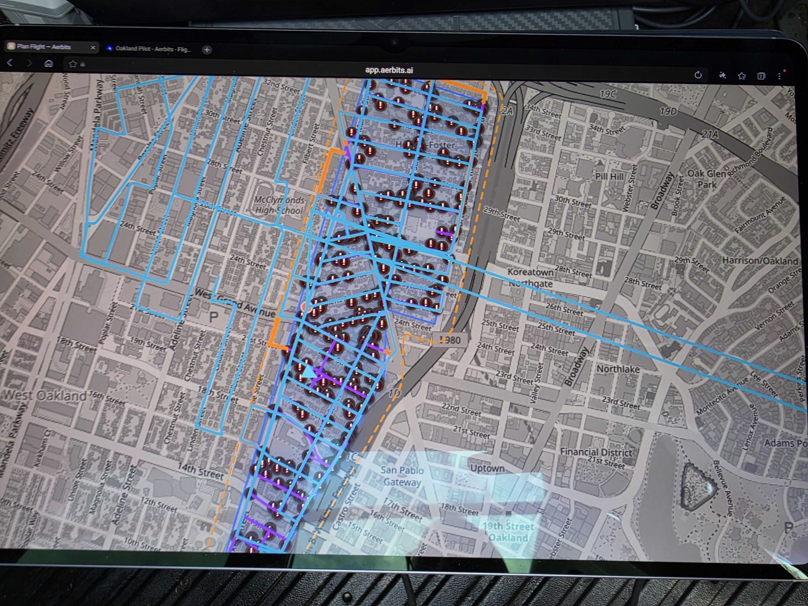 A map showing a flight survey area with detection pins